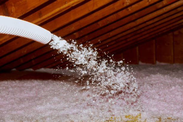 Best Commercial Insulation in Raymond, MS