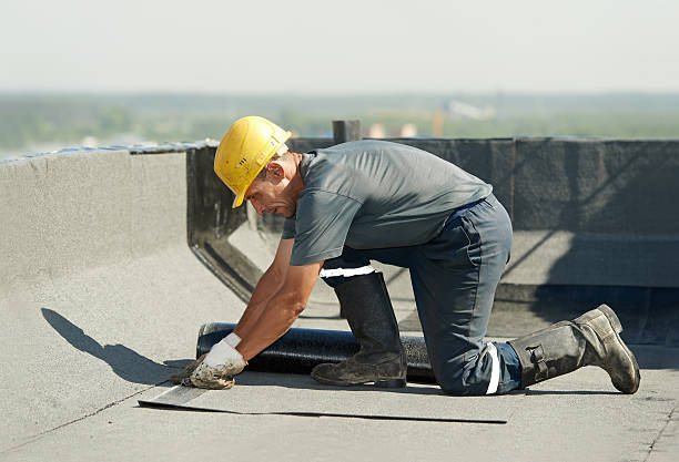 Best Specialized Insulation Services in Raymond, MS